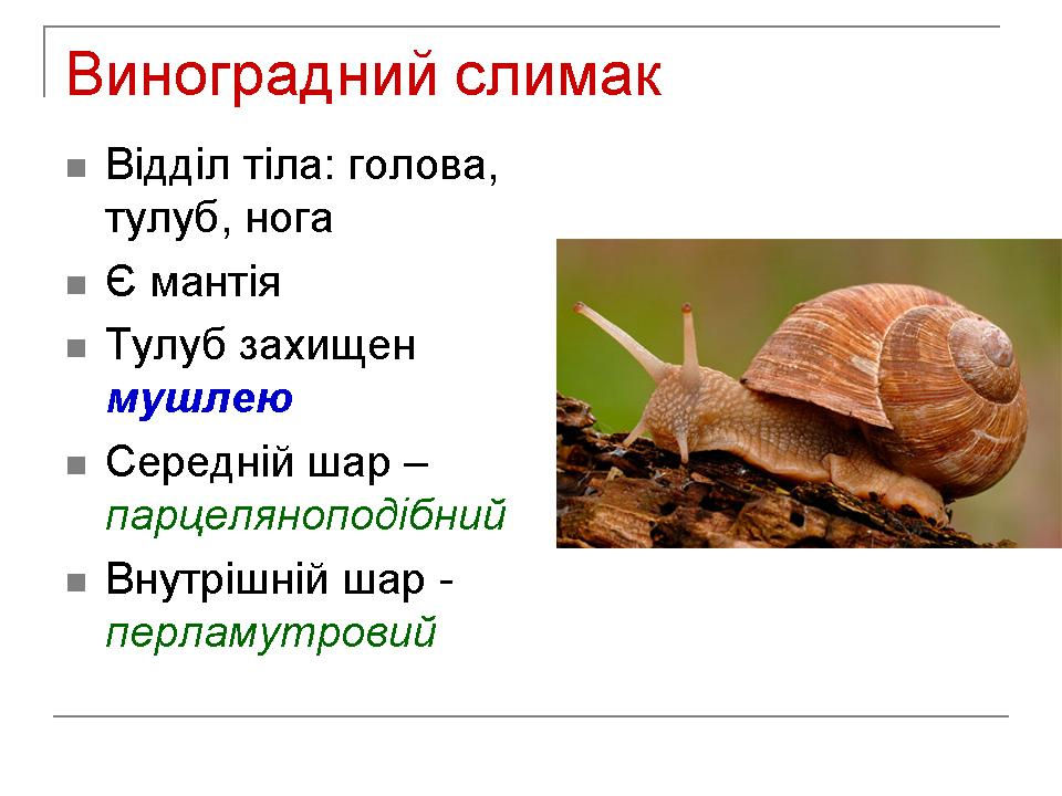 Слайд3