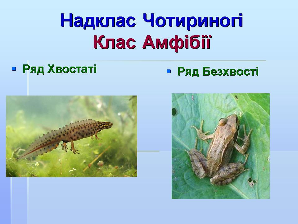Слайд4