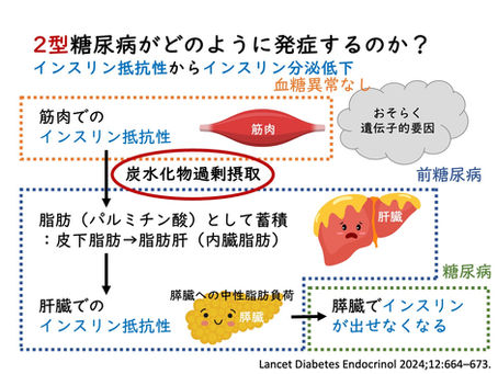 糖尿病を予防する方法