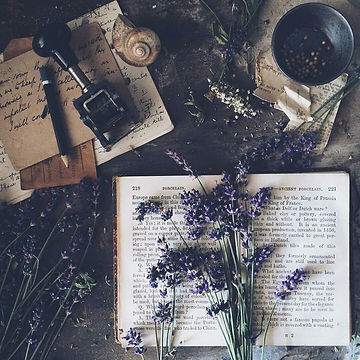 Doodle Champion Island Games!.jpeg