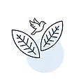 IMG_0029.png