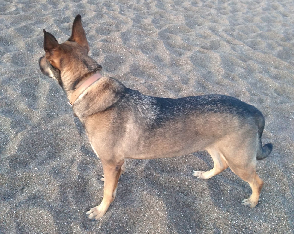 51d6f62a-c00c-4897-aea0-b4a5e9f09eee-1_all_85.jpg_edited.jpg