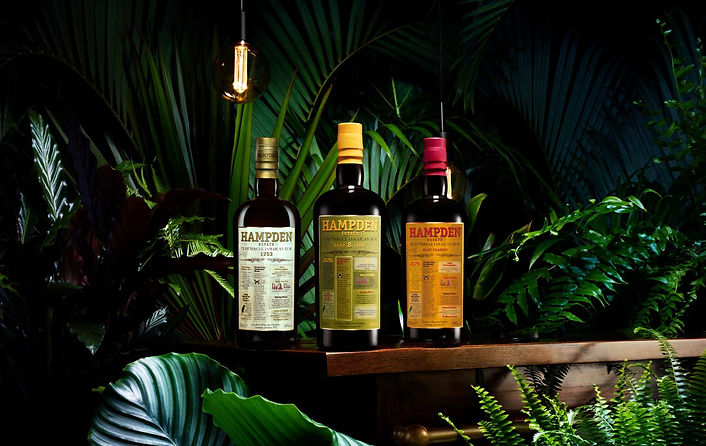 HAMPDEN ESTATE VISUALS (6).jpg