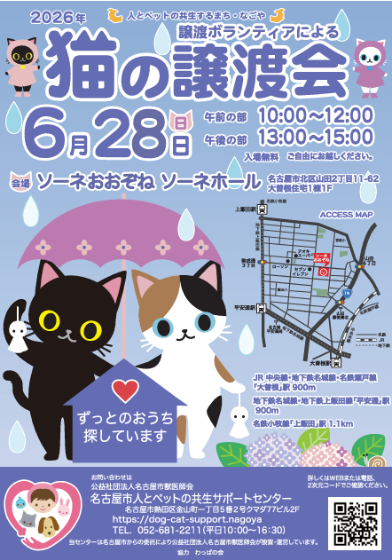 猫の譲渡会