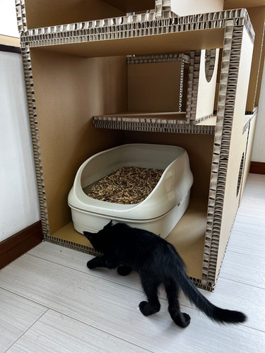 猫が自由自在に遊べるキャットタワー「にゃんぐるタワー」*紙製