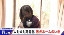 「ペットケアホームリュッカ」がCBCテレビで特集されました