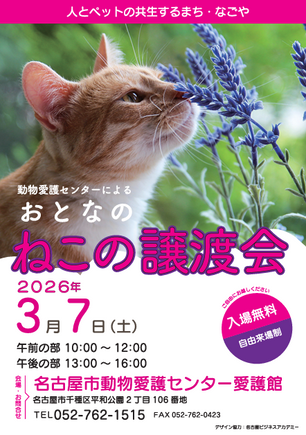 猫の譲渡会