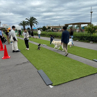 ワンデイフェス一色