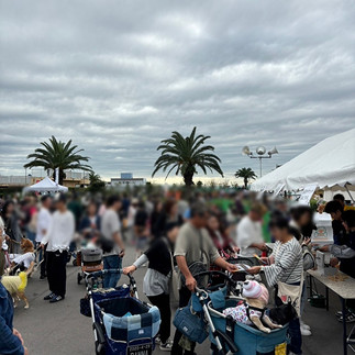 ワンデイフェス一色