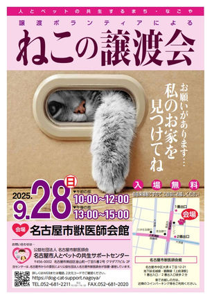 保護猫の譲渡会を開催します(9/28)