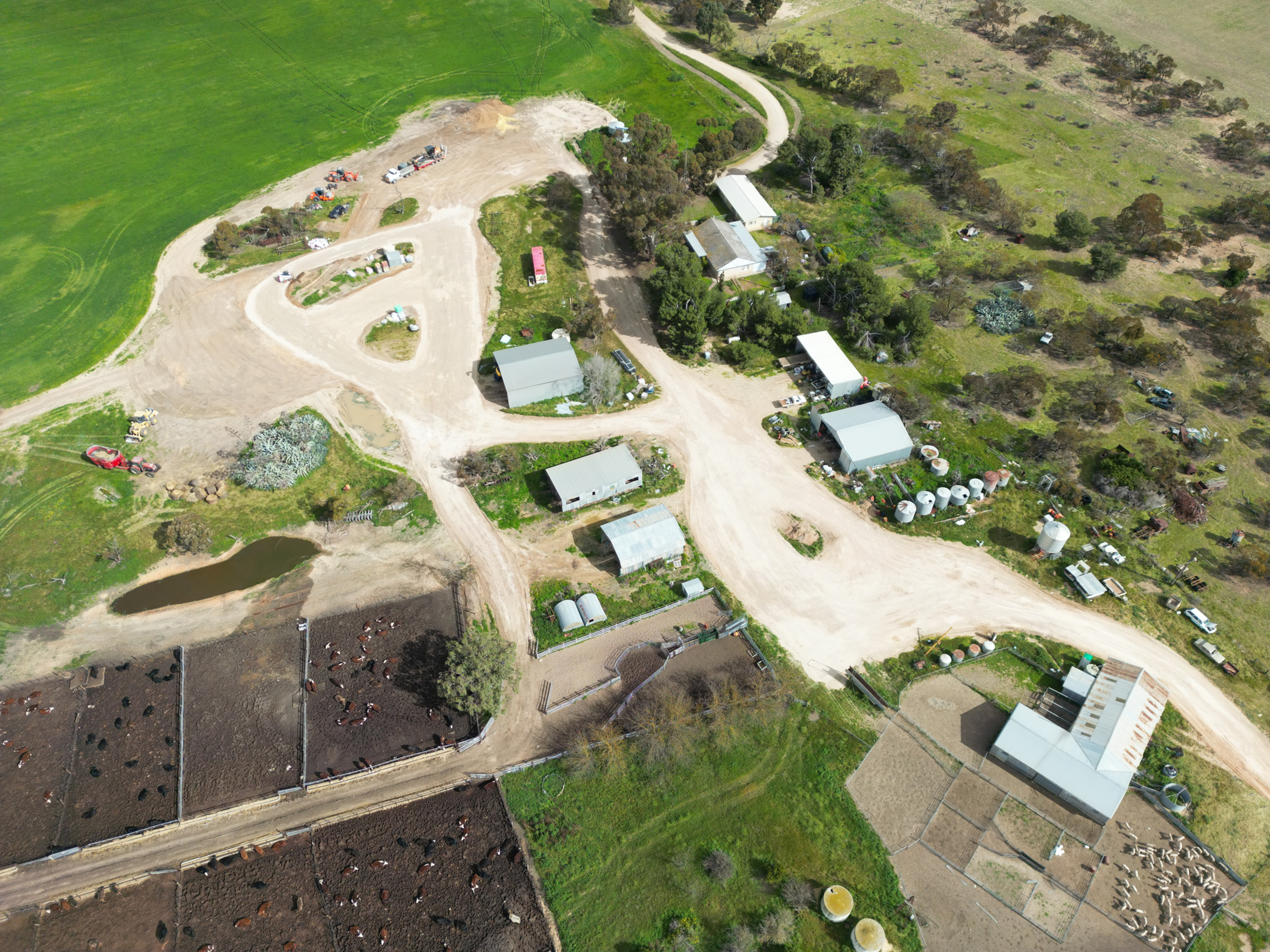 Farm - Lameroo