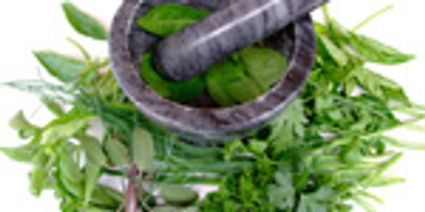 Baginton Gardeners - Growing and Using Herbs