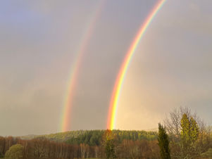 A Big Problem, a Tiny Solution. Life takes a dramatic turn.