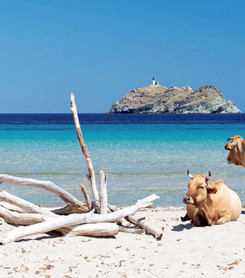 Plage de Barcaggio