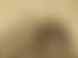 Portrait of Benjamin and Genevieve Gervais, circa 1872