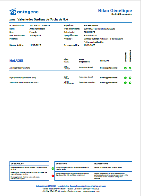 Bilan génétique AI Mazikeen.png