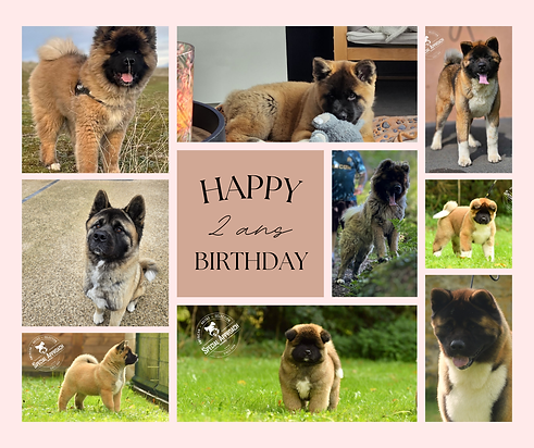 2 ans Upp Uxxi Ultrasson.png