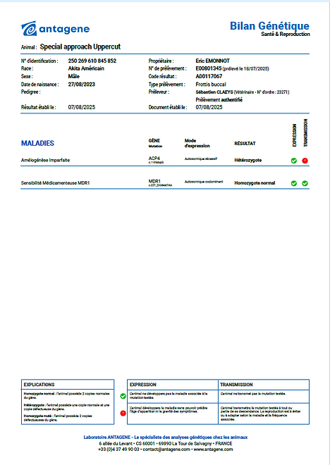 Bilan génétique AI Uppercut.png