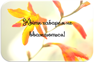 Гарні слова про прекрасне