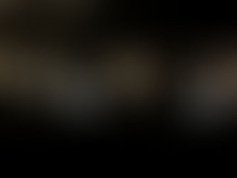 Shi Shi's and Nutcrackers for Christmas