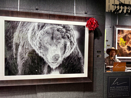 Armadillo Christmas Bazaar-The Artists