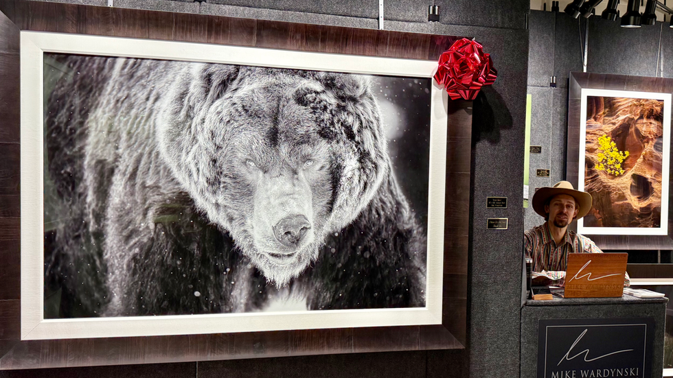 Armadillo Christmas Bazaar-The Artists