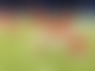 Hyline Appreciation for Football Season