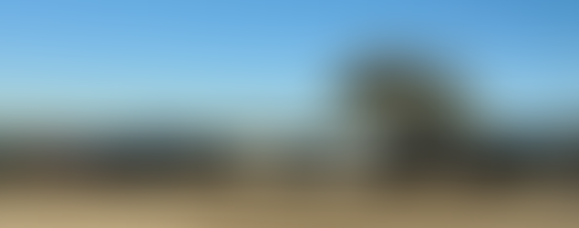 Austin Rodeo "Pick-Up Standard"