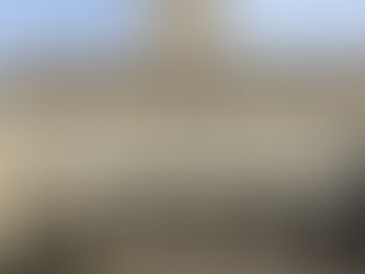 Austin MBA Enrollment