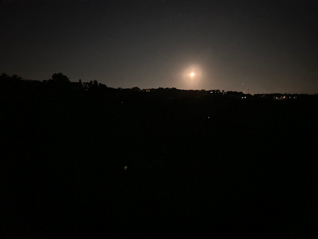 Harvest Moon