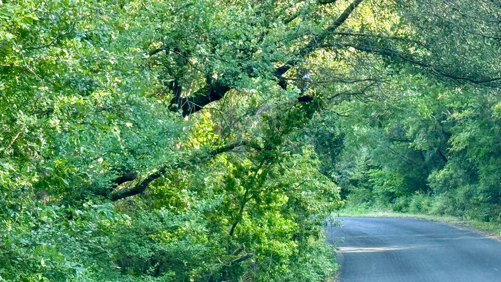 Lakewood Drive