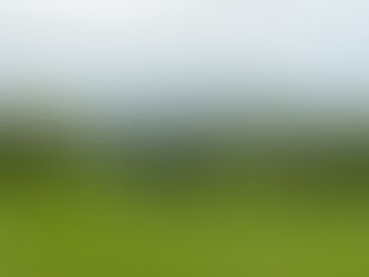 Dell Match Play 2023-The Views