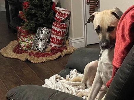 Got My Eye on the Prize