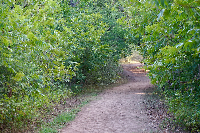 DSC09879 2.jpg