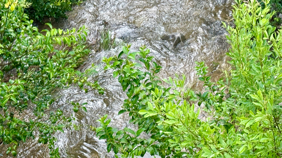 Eanes Creek