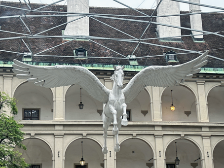 Where Horses Fly !
