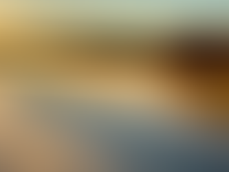 Cold Morning on Town Lake