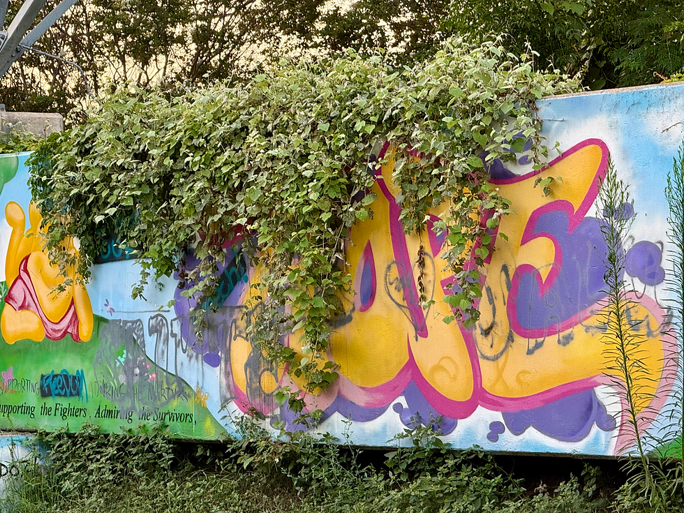 Old Murals 