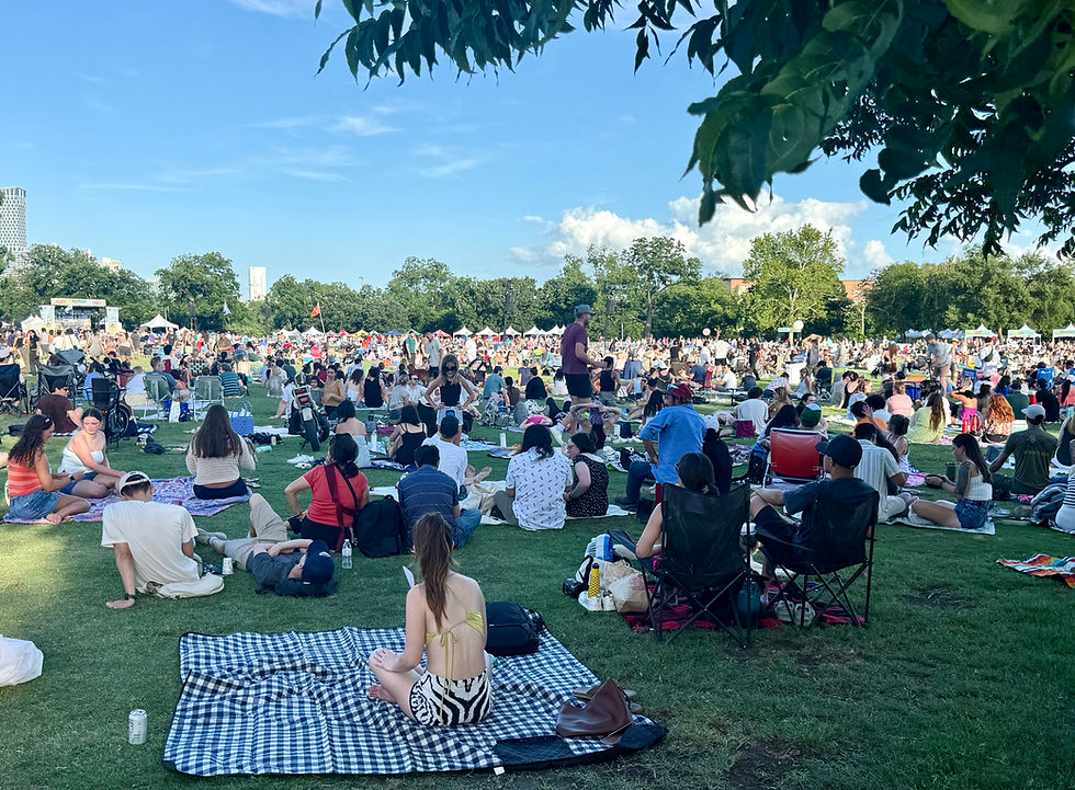 Blues on the Green-The Early Crowd