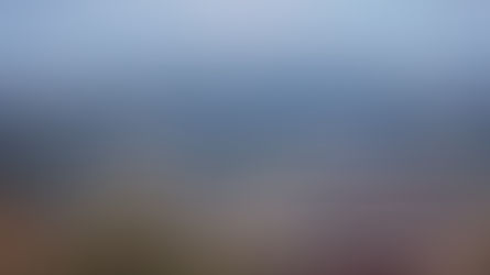 West Lake Hills from the Ann Richards Bridge