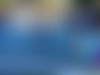 Austin Marathon-Lamaris Areba 1st Female