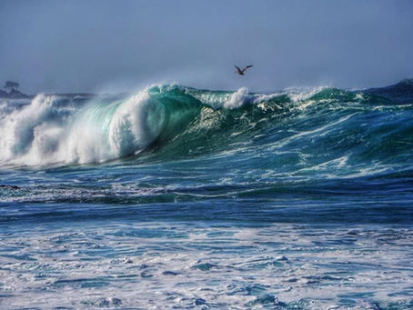 Asilomar Autumn Waves