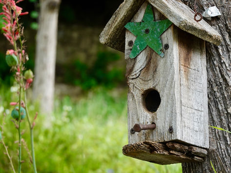 Bird House