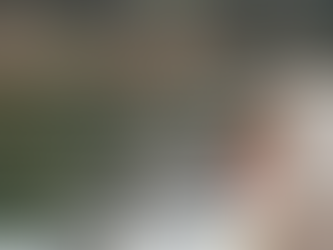 Barton Springs Morning