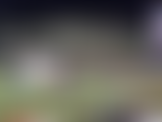 Westlake 2023/2024 Football Schedule