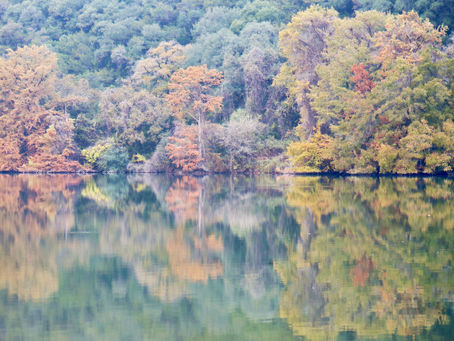 Reflections on Lake Austin At Commons Ford