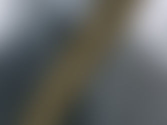 Butterfly Bridge & The Google Sail Building