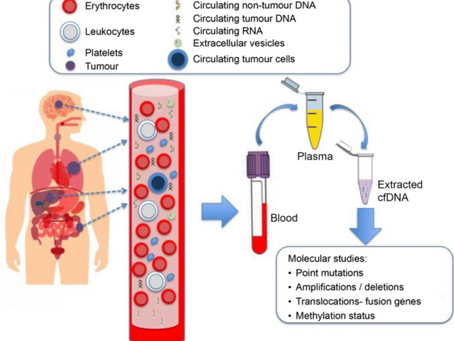 Genetic Testing in Cancer-Stage & Treat