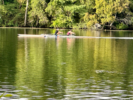 Sculling Lake Austin