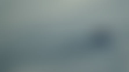 Winter on Lake Austin